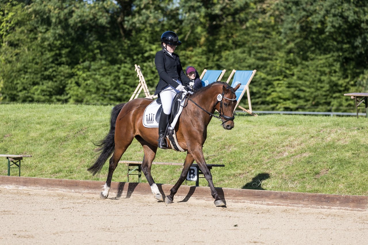 Bild 97 - Pony Akademie Turnier